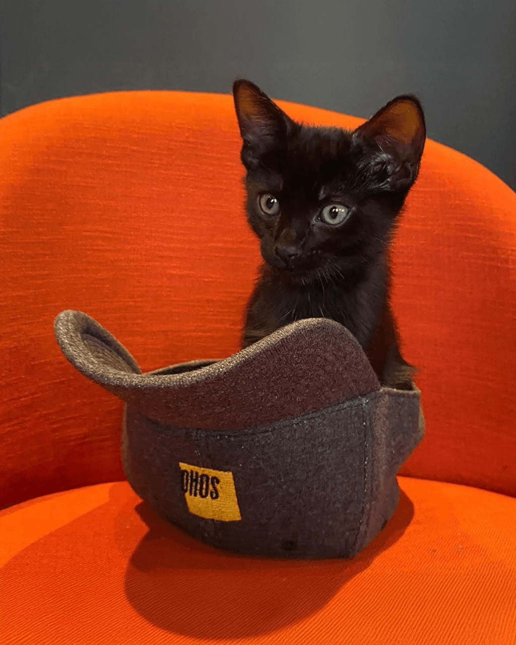 Soho Square Felt Baseball Cap