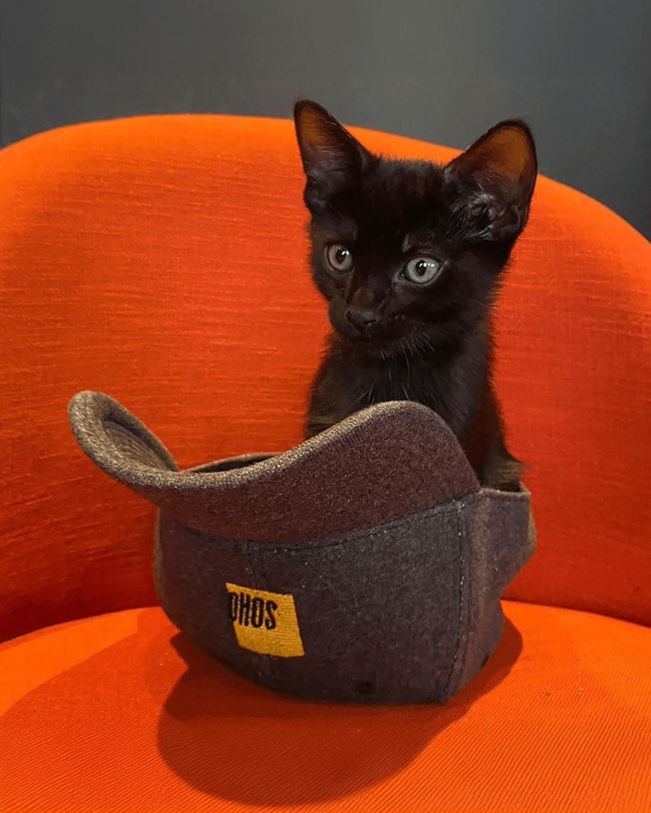 Soho Square Felt Baseball Cap